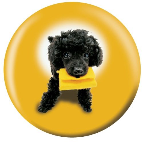 OTB Poodle Puppies Bowling Ball Questions & Answers