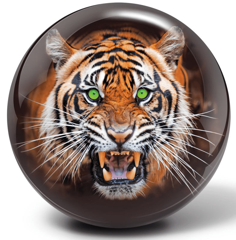 Is the Brunswick Tiger Viz-a-Ball Bowling ball good for  hooking
